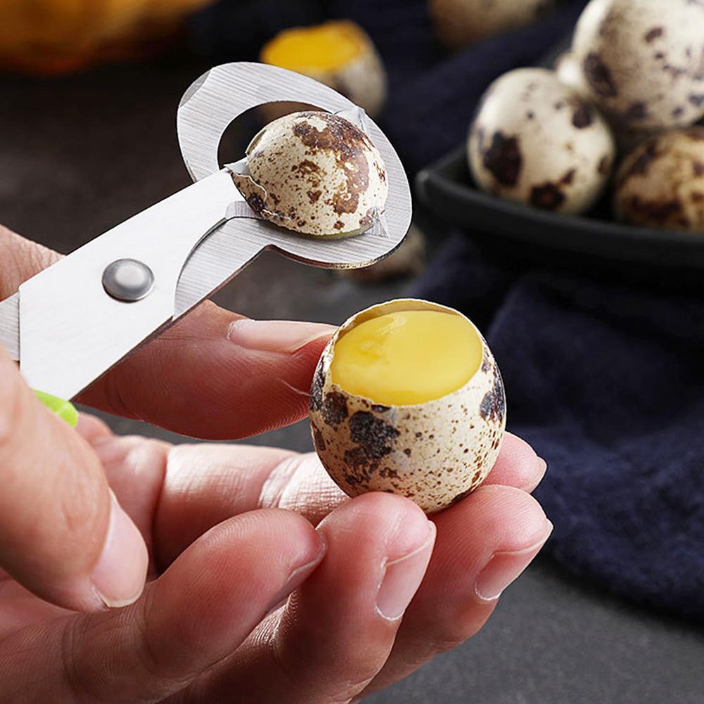 Egg Separator Tool - Duif Kwartel Open Crack Kleine Eierschaal